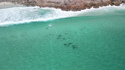 Sugarloaf Rock Stock Footage 146459480