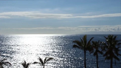 Suggestive video blurred of the sea with palm trees and the blue sky. Stock Footage 98564275