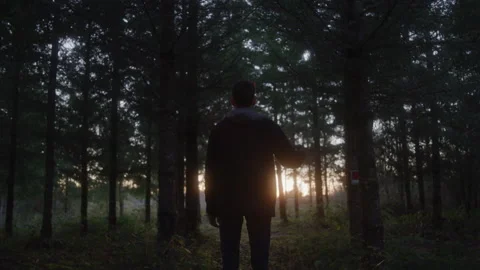 Suicidal Man Standing in Dark Woods Holds Gun to His Head at Sunset Stock Footage 208798736