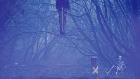 Suicide forest Stock Footage 231634681