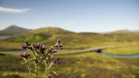 Suilven - 35 Stock Footage 137262535