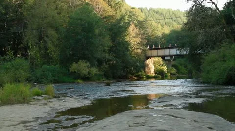Suislaw River Train Bridge Video stock 12359790
