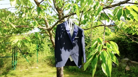 Suit Jacket Hanging on Tree Branch in Sunlit Garden Surrounded by Green Foliage Stock Footage 338009985