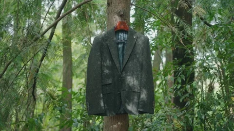 Suit jacket hanging on tree in forest woodland Stock-Footage 331049718