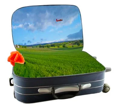 Suitcase Stock-Illustration