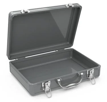 The suitcase Stock Illustration