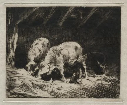 Suite of Six Etchings and Drypoints: Two Pigs, 1884. Charles-mile Jacque (F.. Stock Illustration