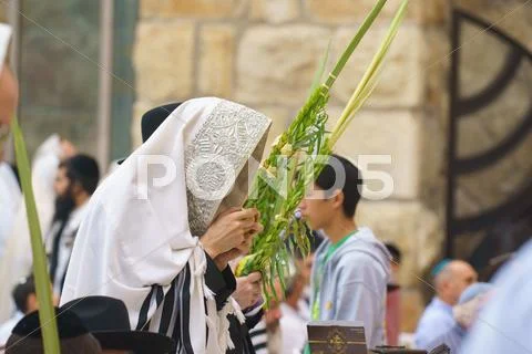 Sukkoth Ripe Pomegranate tree in Jerusalem, Israel Stock Photos