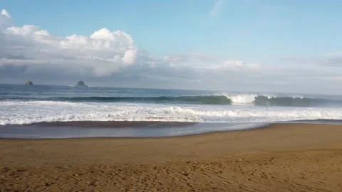 Sukumade beach in East Java, Indonesia, where the newly hatched turtles are rele Stock Footage 264997401