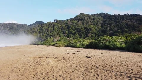 Sukumade beach in East Java, Indonesia, where the newly hatched turtles are rele Stock Footage 264997616