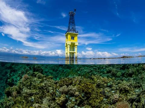Sulawesi Stock Photos