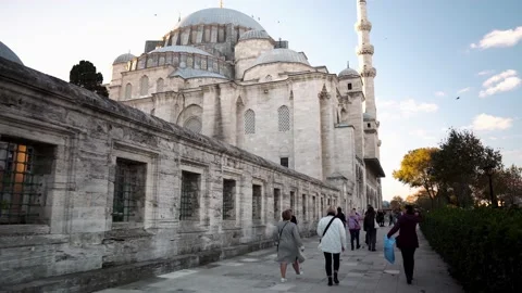 Suleymaniye Mosque Istanbul Stock Footage 219304536