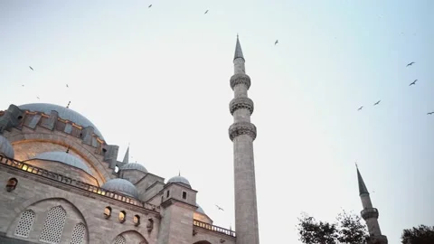 Suleymaniye Mosque Istanbul Stock Footage 219509686