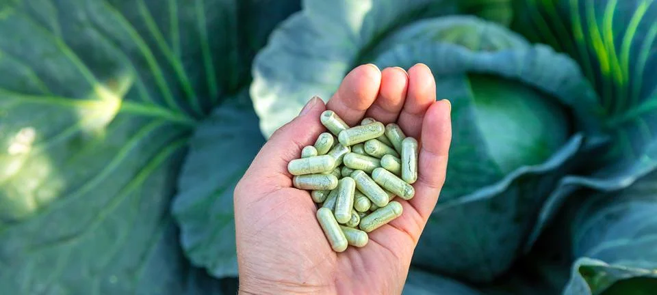 Sulforaphane capsules on a background of cabbage. Selective focus. 写真素材