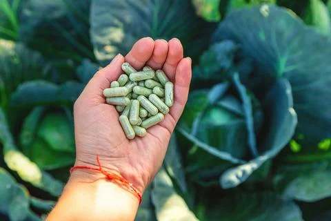 Sulforaphane capsules on a background of cabbage. Selective focus. Foto stock