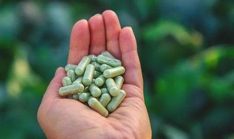 Sulforaphane capsules on a background of cabbage. Selective focus. 写真素材