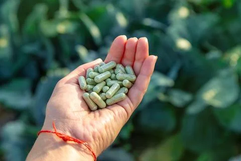 Sulforaphane capsules on a background of cabbage. Selective focus. Foto stock