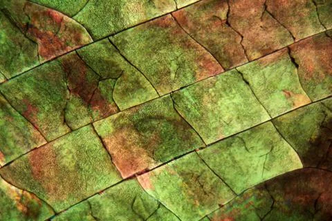 Sulfur crystals under the microscope Stock Photos