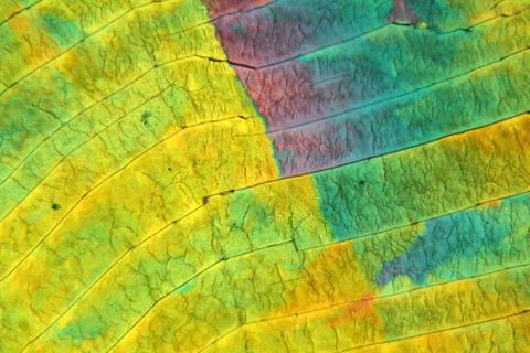 Sulfur crystals under the microscope Stock Photos