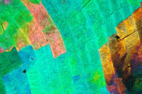 Sulfur crystals under the microscope Stock Photos