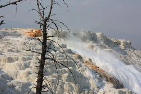 Sulfur Spring Stock Photos