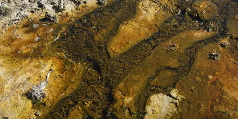 Sulfur stream at Yellowstone National Park in Wyoming Stock Footage 59213025