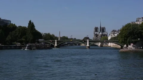 Sully Bridge (Pont de Sully) Stock Footage 203282632