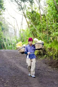 Sulphur Worker at Kawah Ijen, Java, Indonesia, Asia Stock-Fotos