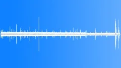 SulphurBreasted Musk Parrot EarlySound Effect