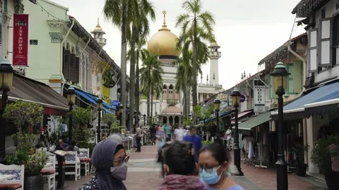 Sultan Mosque Stock Footage 196449118