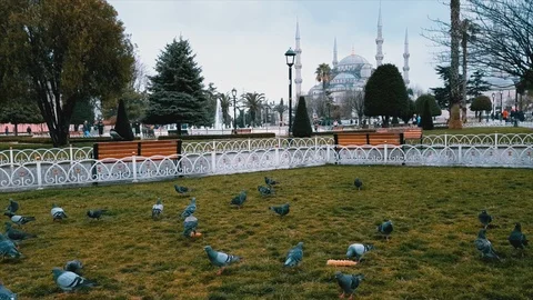 Sultanahmet Square Istanbul Turkey Stock Footage