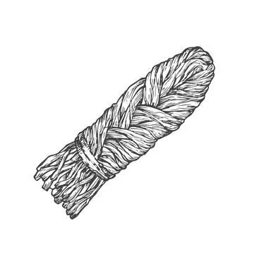 Suluguni Pigtail Hand Drawn Vector Illustration. Sketch Traditional Georgian Stock Illustration