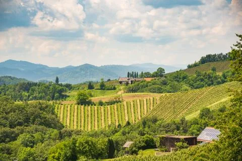 Sulztal, Styria / Austria - 2 June 2018: Vineyards Sulztal Leibnitz area famo Stock Photos