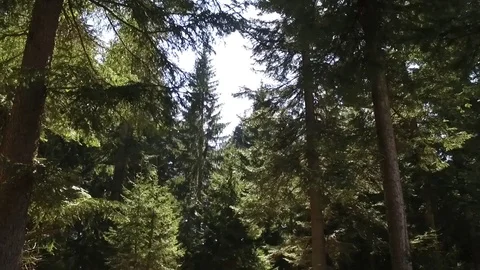 SUMA SA Stock Footage 105818651