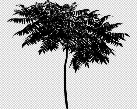 Sumac tree Illustrazione stock