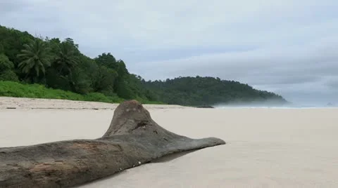Sumatra beach Video stock 12427737