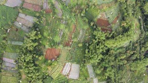 Sumbing - Silancur Video stock 146998891