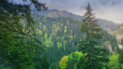 Sumela monastery view, Trabzon, Turkey Stock Footage 196108659