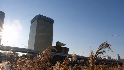 Sumida High Rise Buildings Stock Footage 100735429