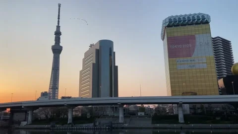 Sumida Park Cherry blossom Stock Footage 148061523