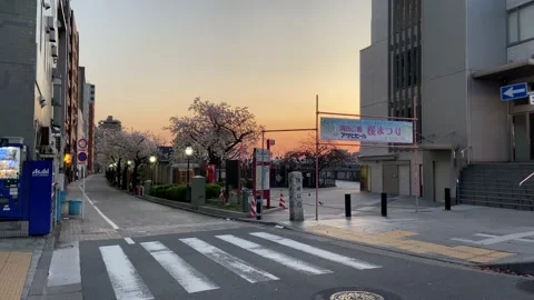 Sumida Park Cherry blossom Stock Footage 148061768