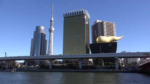 Sumida River and the Skytree 库存影片 332782074