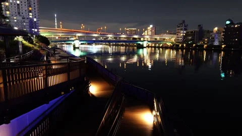 Sumida River Night View, Tokyo Japan 2025 Stock Footage 311217392