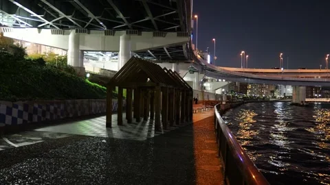 Sumida River Night View, Tokyo Japan December 2025 Stock Footage 323144021