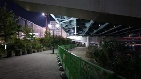 Sumida River Night View, Tokyo Japan December 2025 Stock Footage 323144045