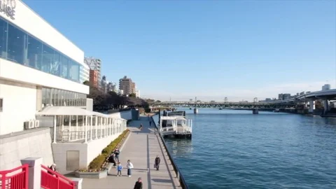 SUMIDA RIVER, TOKYO Stock Footage 84302148