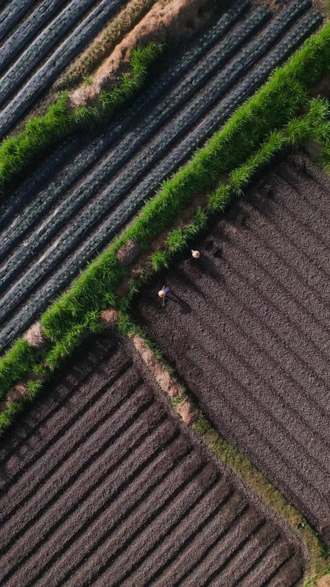 Summary of rural land division with distinct agricultural zones and routes Stock Footage 332433739