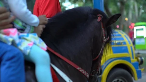 Summer 13 Stock Footage 86524240