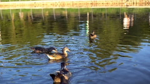 Summer 14 스톡 동영상 86525672