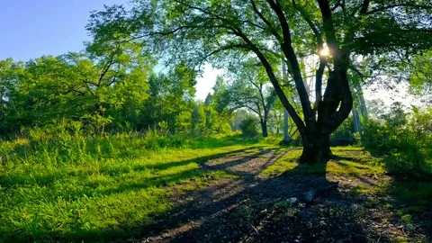 Summer 2022 Stock Footage 243788525